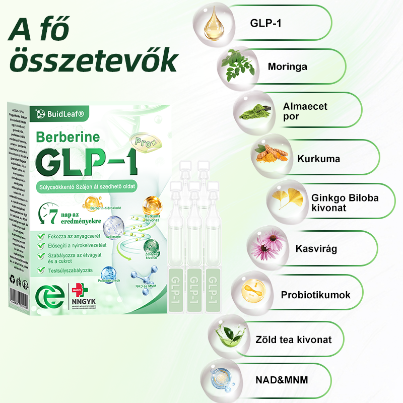 Klinikai kutatásokkal igazolt | A BuildLeaf® Berberine GLP-1 Pro Súlycsökkentő Szájon át szedhető oldat segíthet a makacs súlytöbblet, anyagcsere- és energiaproblémák kezelésében, támogatva a jobb közérzetet és vitalitást